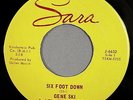 HEAR IT Wisconsin Rocker 45 rpm Gene Ski & Troubadours 