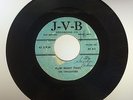 The Twilighters - How Many Times / Water ? SUPER RARE SCARCE DETROIT DOO WOP JVB