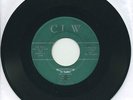 ARCHIE LISEO & THE CINAWAYS   Homebrew   obscure Colorado surf/instro   CLW
