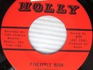 THE TORQUAY's Pineapple Moon b/w While I'm Away ORIGINAL DooWop 45 cc1103