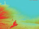 THE FLAMING LIPS 