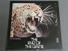 PETER GREEN/END OF THE GAME  ORIG UK RSLP9006
