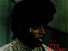 The Little Richard Story 1966  UK Double Vinyl LP Record EXCELLENT CONDITION
