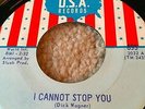 THE CHERRY SLUSH DICK WAGNER MICHIGAN GARAGE U.S.A RECORDS 895 I CANNOT STOP YOU
