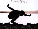 Into The Wild - Eddie Vedder (2010, Vinyl New)