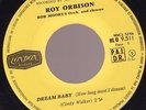 Roy Orbison 