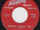 Cajun Rocker - RUSTY& DOUG - 