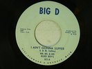 Mr Bo & His Blues Boys I AIN'T GONNA SUFFER / IF TROUBLE WAS...  Big D VG to VG+