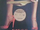BEAR BROTHERS - Zsha, Zsha, Zsha - RARE DISCO UNIDISC