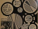 Psychedelic Disaster Whirl  (low # orig.) = Rare 16 Rare Garage Punk (Frantic)
