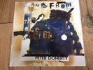 PETE DOHERTY FLAGS OF THE OLD REGIME 7