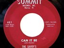  Chicago 60s Garage Fuzz 45 THE SAVOYS Can It Be on Summit