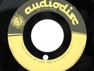  Unreleased Chicago 60s Garage Acetate 45 UNKNOWN ARTIST on Audiodisc