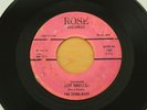 THE STING-RAYS Hot Sausage/Sandy I Do 45 RARE Garage Tittyshaker Mad Mike HEAR