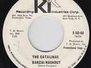 Surf 45 - Catalinas - Banzai Washout - Recording Industries Corp. - mp3