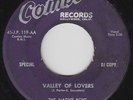 Doo-Wop 45 - Native Boys - Valley Of Lovers - Combo - mp3
