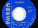 Etta And Harvey 