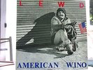 THE LEWD-American Wino(1982 US ICI Records) RARE PUNK/HARDCORE
