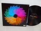MARYANN FARRA & SATIN SOUL Never Gonna Leave You LP Brunswick BL 754207 1976