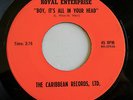 Garage-Psych-Fuzz 45 ROYAL ENTERPRISE Boy It's All In Your Head CARIBBEAN Ltd VG