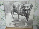 ALICE IN CHAINS alice in chains  1995 2 LP NETHERLANDS mad seasons VG