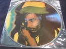 Bob Marley Picture Disc LP   Mint vinyl  Audiofidelity PD 350