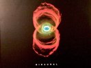 PEARL JAM - Binaural 2xLP Vinyl Epic 2000, Rare, Excellent Condition