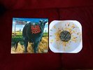 Blink 182 - Dude Ranch LP (All Time Low, Mxpx, Green Day, Fall Out Boy, NoFX)