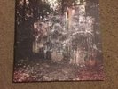 Wildlife - La Dispute 2nd Pressing 2x12 Grey Vinyl /1800