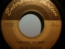 THE SULTANS FIVE WISCONSIN FUZZ GARAGE PUNK 45 RECORD RARE enterprise 13