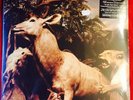 INTERPOL OUR LOVE TO ADMIRE 2XLP VINYL LP 2007 ORIGINAL SEALED GATEFOLD WITH CD