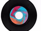 Northern Soul 45    Don't Be Sore At Me -- The Parliaments -- Revilot RV 211