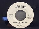 BILLY GUY & THE ODDS N ENDS: Lookin Like a Nut, SEW CITY, UBER Rare Funk 7