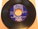 THE BIRDWATCHERS - MARY MARY - FLORIDA GARAGE CLASSIC, MALA 555 NM