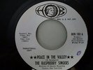 The Raspberry Singers - Peace In The Valley/The Lord Is Coming, white promo 45