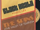 THE SPINS 45 - VALLEY OF TEMPLES - SPACEY ITALO COSMIC FUNK DISCO DUB oHEARo