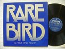 RARE BIRD 