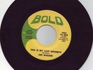 JOE WALKER - THIS IS MY LAST GOODBYE