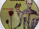 Nirvana Incesticide: Rare Picture Disc, 12