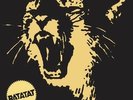 Classics - Ratatat (2006, Vinyl New)