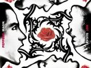 RED HOT CHILI PEPPERS - BLOOD SUGAR SEX MAGIC NEW VINYL