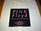 PINK FLOYD Delicate Sound of Thunder 3 track promo 12
