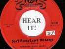 Norman Sands /Valiants JUNGLE EXOTICA 45-Warwick 598-Don't Wanna Leave The Congo
