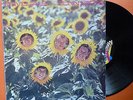 SUNNYBOYS OZ 2ND LP /PUNK/POP/GATEFOLD=INDIVIDUALS