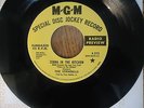 The Standells,Zebra in the Kitchen,MGM Promo 45 RPM