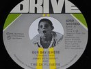 70s Soul 45 JIMMY BEAUMONT & THE SKYLINERS Our Day Is Here on Drive VG++