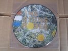 THE STONE ROSES S/T DEBUT RARE PICTURE DISC LP ORELP502-P