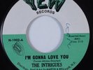 Northern Soul 45 THE INTRIGUES I'm Gonna Love You YEW HEAR