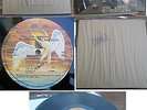 LED ZEPPELIN-IN THROUGH THE OUT DOOR Greek LP  1979 BROWN BUG 1st PRESS EXCELLEN