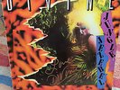 DIVINE JUNGLE JEZEBEL VINYL LP SIGNED BY DIVINE - JOHN WATERS - GAY INTEREST